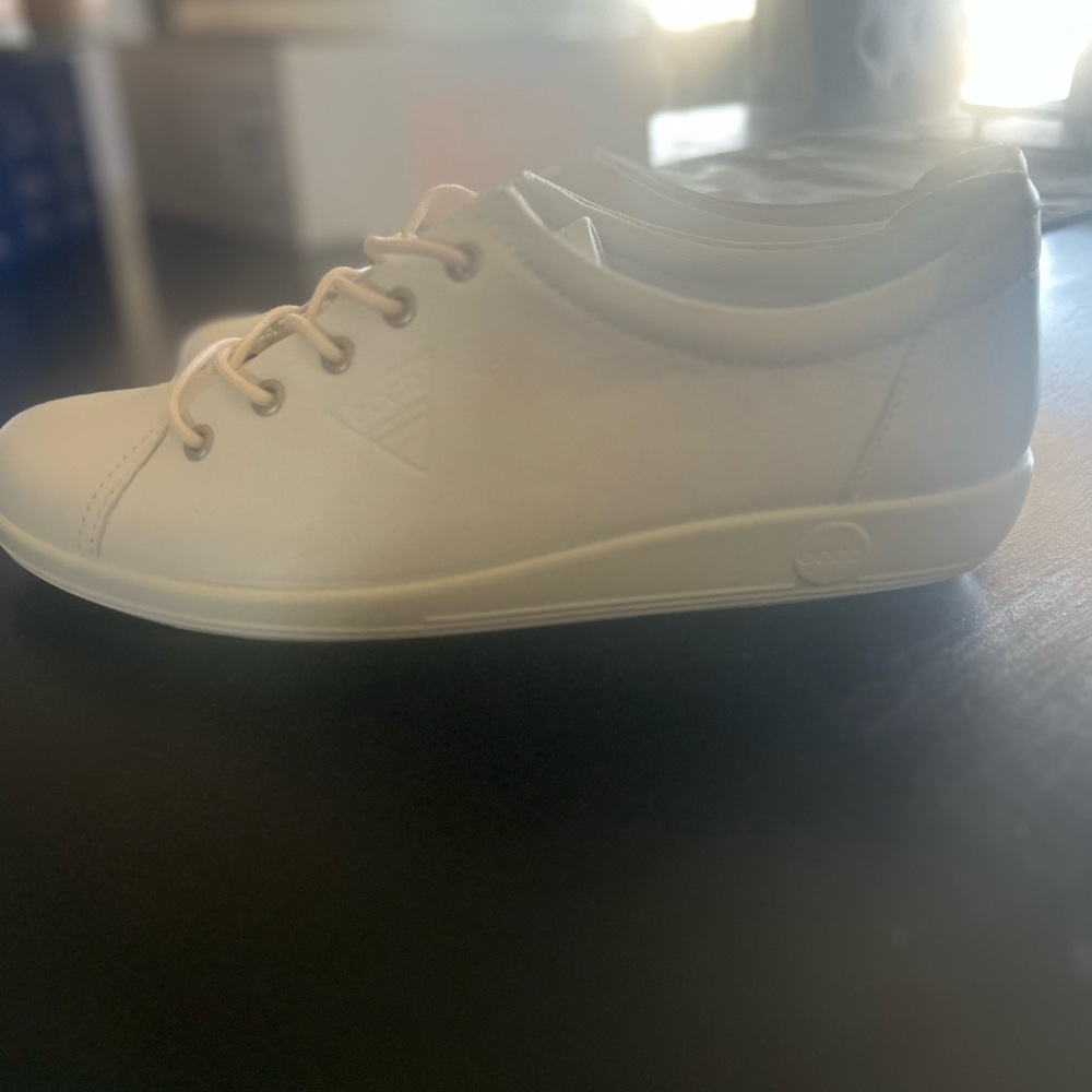 ECCO Soft 2.0